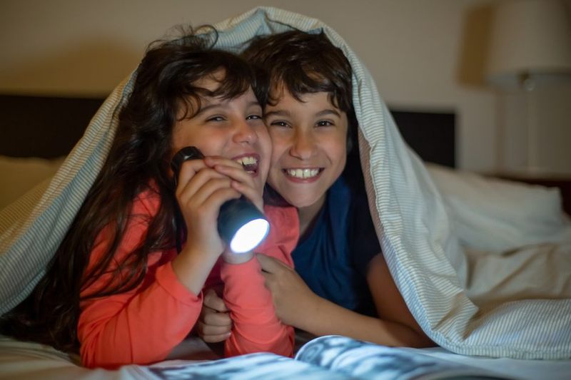Oasis Pocket Flashlight